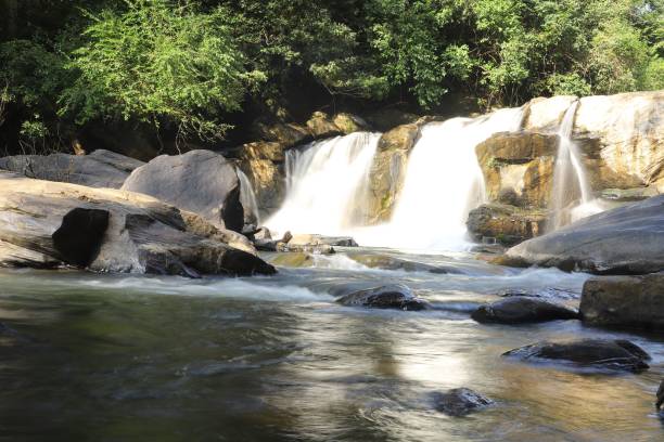 istock Beautiful landscape of a waterfall in a park 1479057301