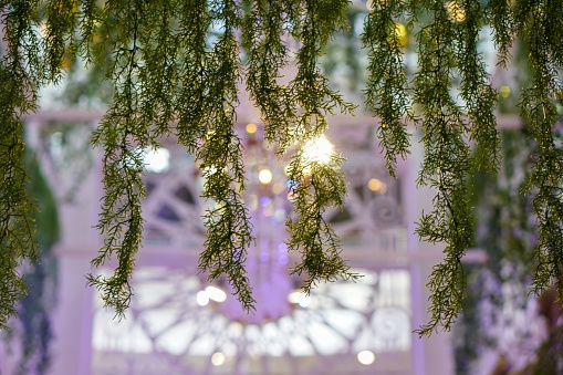 A beautiful, lush greenery suspended from a white chandelier creates an enchanting atmosphere in a wedding reception hall