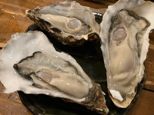 istock Oyster from Akkeshi at an Izakaya in Nihonbashi, 2023 1479060893