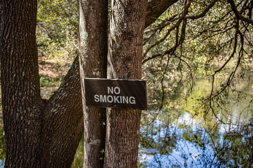 No smoking sign attached to tree