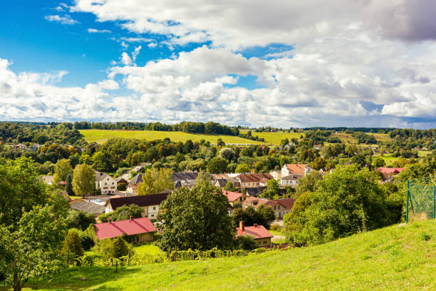 Panoramic Mowed meadow and landscape in the Quebec Forest, Canada