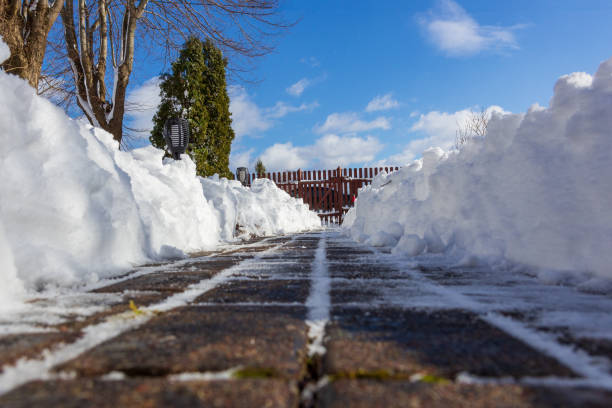 istock A freshly cleared path in the yard of the house. 1479069476