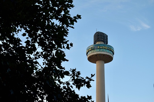 Liverpool, Merseyside, UK: St Johns Beacon Viewing Gallery - Radio City Tower behind a tree