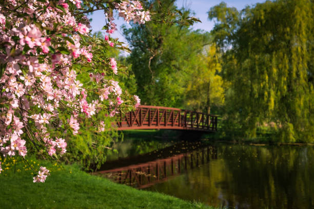 Photo taken at the Dominion Arboretum, Ottawa, Canada