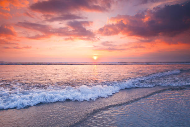 istock Radiant sea beach sunset 1479073887
