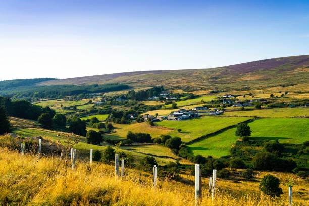 istock Glencullen Valley In The Wicklow Mountains 1479074218