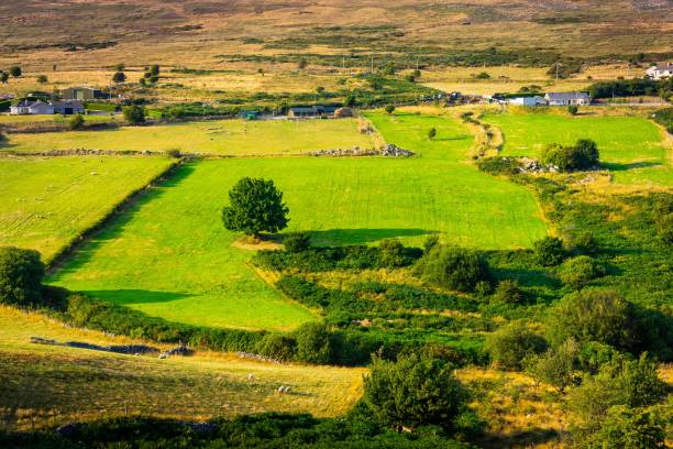 Glencullen Valley In The Wicklow Mountains