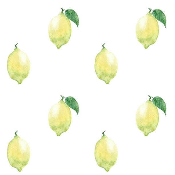 istock Watercolor lemon fruit. Hand painted sour lemon. Juicy lemons seamless pattern. Bright summer design 1479076354