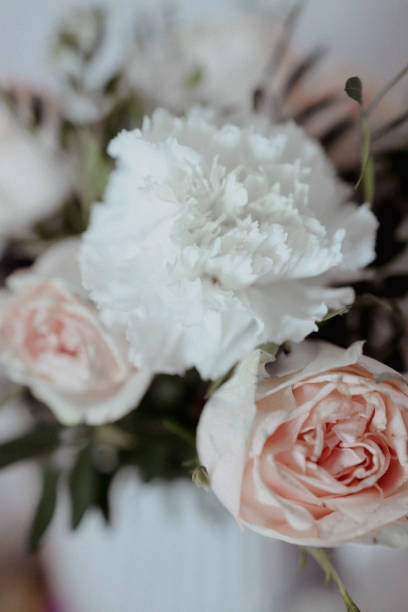 istock Bouquet of roses and white carnations 1479076431