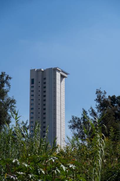 istock Tall architectural structure towering above a lush setting of trees 1479076822
