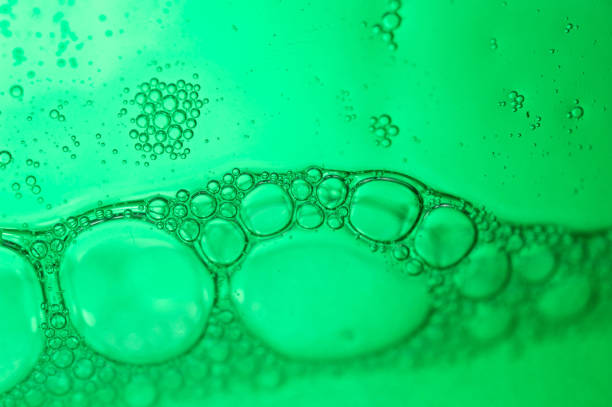 istock Macro shot of soap bubbles on green background 1479076932