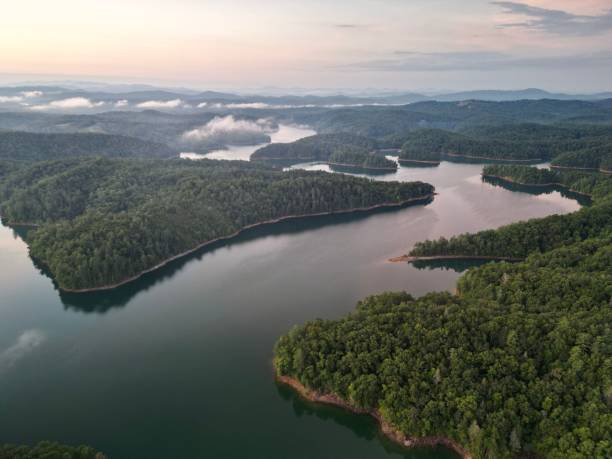 istock an aerial view of a river surrounded by forest and clouds 1479077394