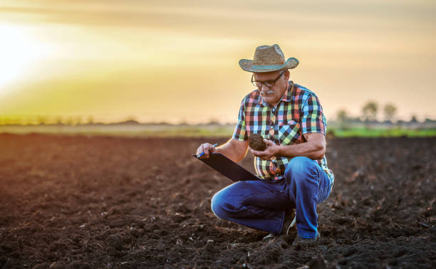 Farmer controls the soil and making a notes after plowing in the field. Agricultural concept stock photo