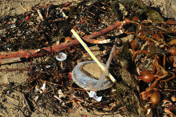 istock Pollution Is Fouling Our Beaches 1479080037
