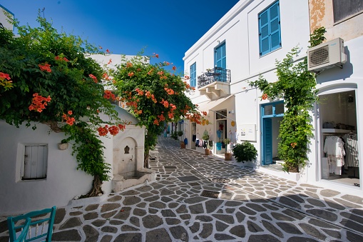 Paroikia, Greece – July 12, 2019: A cobblestone street with vibrant plants covering the walls of surrounding buildings.