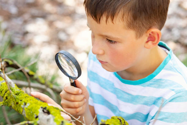 istock Curious boy is exploring nature with magnifying glass outdoors 1479083223