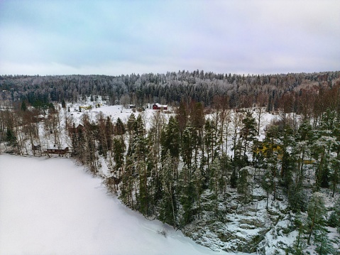 The snow-covered land with trees in the Nuuksio National Park in a snowy Finland