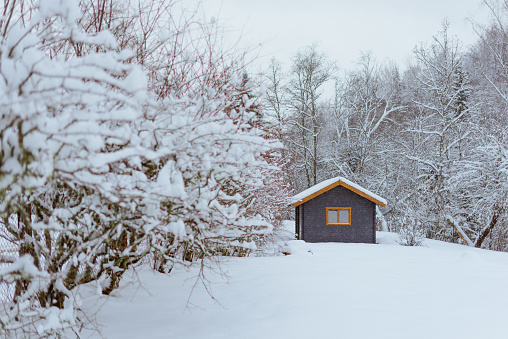 Beautiful winter scenery with a wooden cottage by the snowy trees