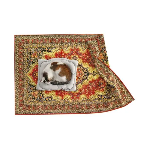 Small cat relaxes on rug 3d rendered image