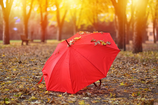 the model, who is 55 years old, has a red raincoat over a beret on her head, green eyes.It's raining indoors.The season is winter.A large umbrella that plays pink in the model's hand.A full-length model walking from behind in a city park from behind