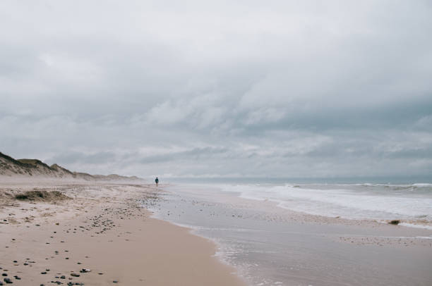 istock Lonely guy walking on a sandy beach with stones on a cloudy day 1479087342