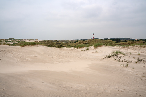 The landscape of the Authie Bay in the north of France