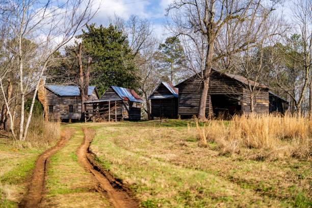 Wooden cabins situated in a picturesque setting along a dirt road that winds its way through a field