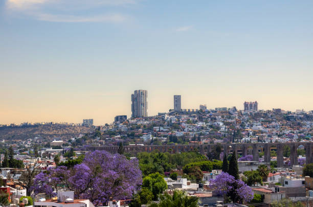 vue de la ville de querétaro mexique aqueduc avec jacaranda - queretaro city photos et images de collection