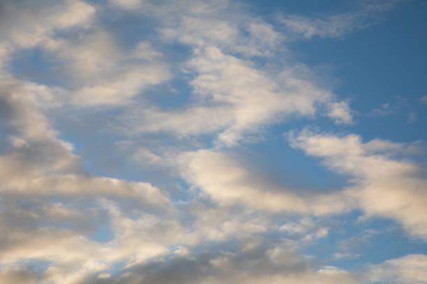 A low angle shot of the blue sky