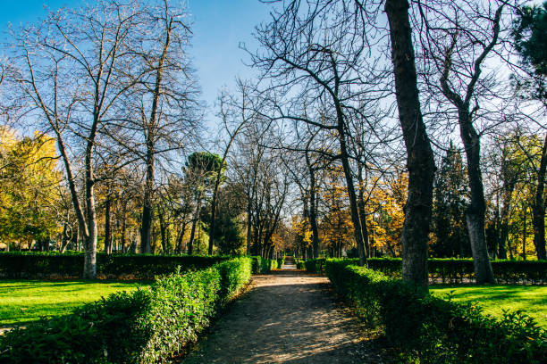 A pathway surrounded by greens and trees under the blue sky in a park in Spain