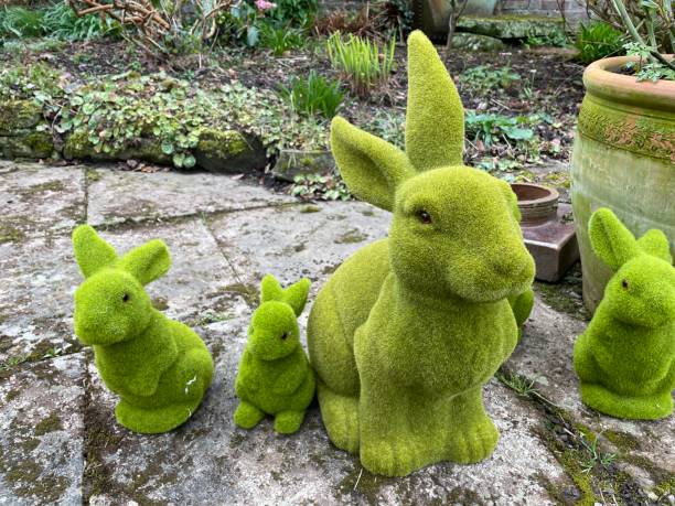 istock Easter garden bunnies 1479092454