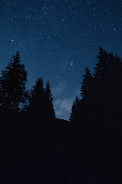 istock Vertical shot of a forest silhouette under a starry sky 1479093656