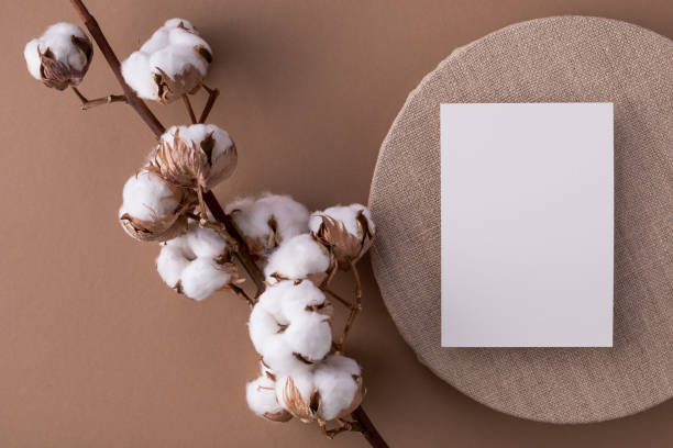 istock Cotton branch with empty blank paper sheet card top view. Minimal composition from natural cotton flowers for design, blogging or branding flat lay. 1479093914