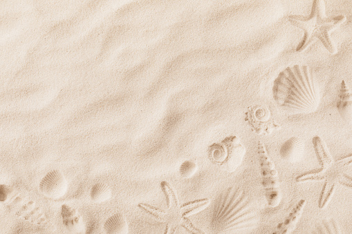 Stock photo showing close-up view of piles of seashells and starfish on a pile of sand, against a seaside with breaking waves background.