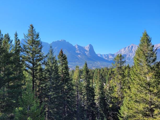istock a mountain is in the distance and surrounded by green trees 1479098039