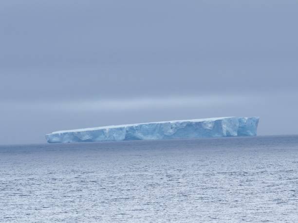 istock Huge table iceberg at sunset, Antarctic Peninsula. 1479098234