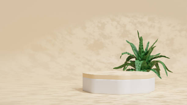 istock 3d product display podium scene with the geometric platform. 3d cylinder stand podium. Commercial background. Geometric forms in modern minimal design. 3d rendering. 1479099604