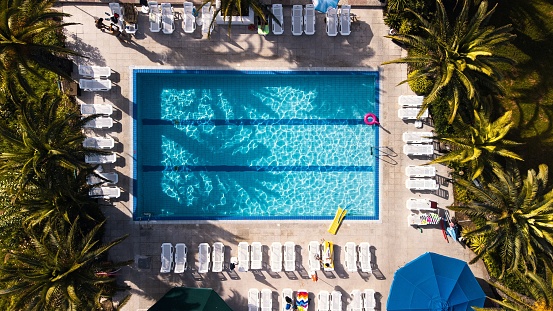 An aerial view of a luxurious swimming pool in a tropical region surrounded by lush palm trees
