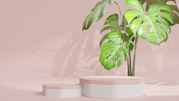 istock 3d product display podium scene with the geometric platform. 3d cylinder stand podium. Commercial background. Geometric forms in modern minimal design. 3d rendering. 1479100094