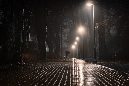 A silhouetted person walking with an open in a wet, illuminated pathway at night in Wuppertal