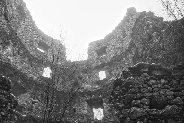 istock The old castle in the mist 1479102830