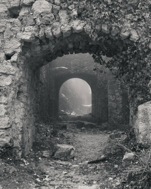 istock The old castle in the mist 1479102837