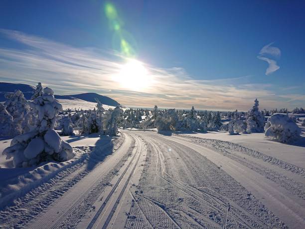 istock the sun is setting over an empty snowy field with snow covered trees 1479105338