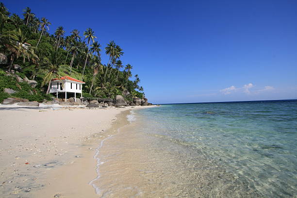istock Beautiful tropical beach in diving paradise 147910619
