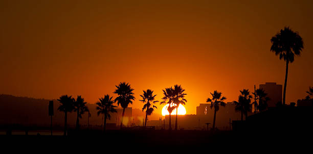 Pôr do sol sobre a Long Beach - foto de acervo