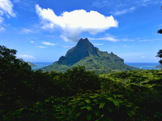 istock a view over mountains with trees, grass and water in the distance 1479108893