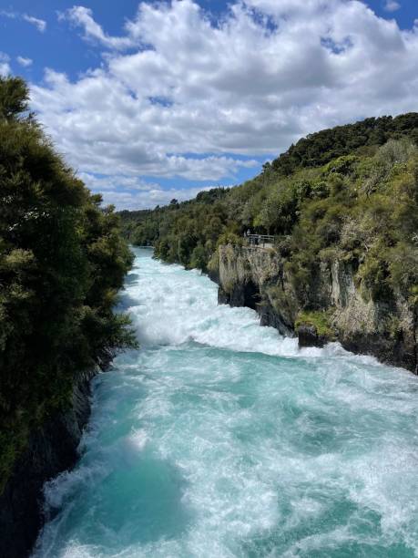 istock white water is running through a river with green forest in the background 1479109006