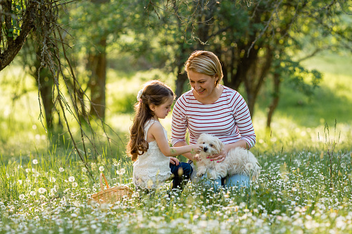 Mother and daughter sitting in the meadow and playing with their dog