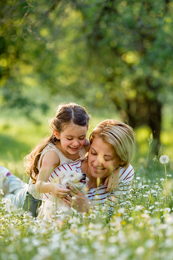 Mother and daughter enjoy springtime in the meadow , playing with their dog