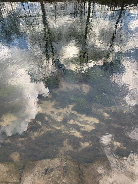 istock Reflection of the city in the river 1479109236